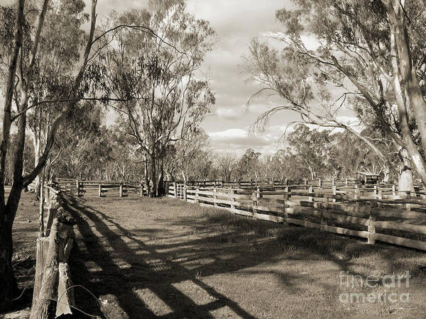 Barmah Art Print featuring the photograph The Yards by Linda Lees