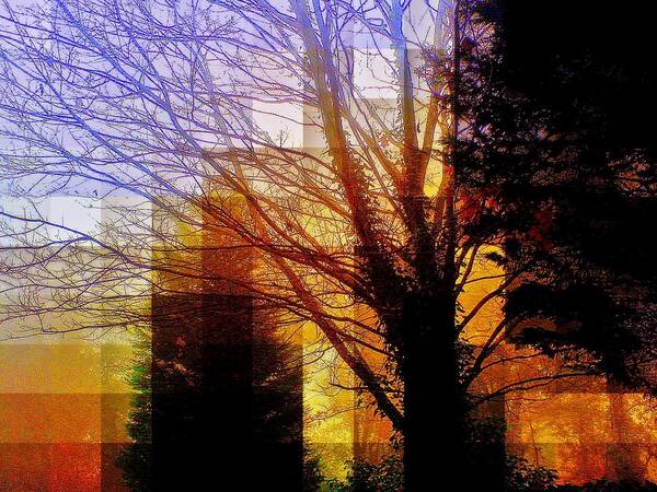 Tree Art Print featuring the photograph This Is Morning by Andy Rhodes