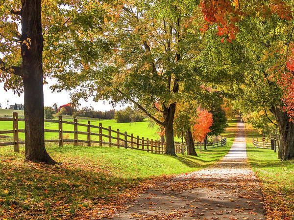 Farm Art Print featuring the photograph Thomas Farm Lane by Andy Smetzer