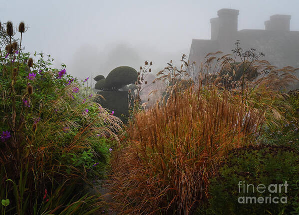 Topiary Art Print featuring the photograph Topiary Peacocks in the Autumn Mist, Great Dixter 2 by Perry Rodriguez