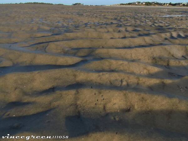 Beach Art Print featuring the digital art Trekking Alien Terrain by Vincent Green