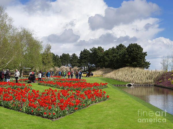 Tulips Art Print featuring the photograph Tulips at Keukenhof Gardens Netherlands by Louise Heusinkveld