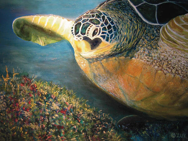 Karen Zuk Rosenblatt Art And Photography Art Print featuring the painting Turtle Run by Karen Zuk Rosenblatt