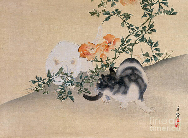 Black; White; Stripes; Striped; Hibiscus; Flower; Flowers; Chat; Chats; Asian; Oriental; Animal Art Print featuring the painting Two Cats by Japanese School