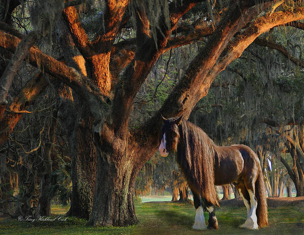 Equine Art Print featuring the digital art Two Majestic Souls by Terry Kirkland Cook