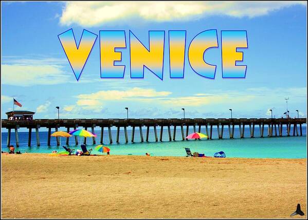 Beach Art Print featuring the photograph Venice Florida by Robert Wilder Jr