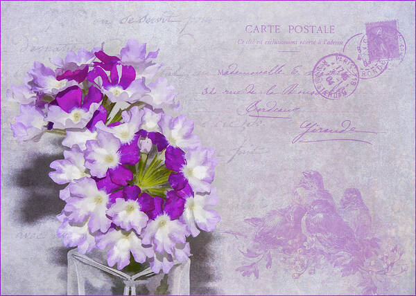 Flowers Art Print featuring the photograph Verbena by Cathy Kovarik
