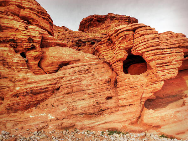 Nevada Art Print featuring the photograph Walking In The Valley Of Fire - 5 by Leslie Montgomery