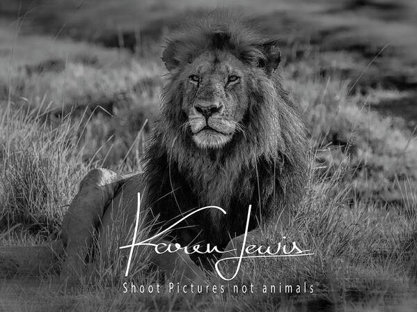 Masai Mara Art Print featuring the photograph Watching and Waiting by Karen Lewis