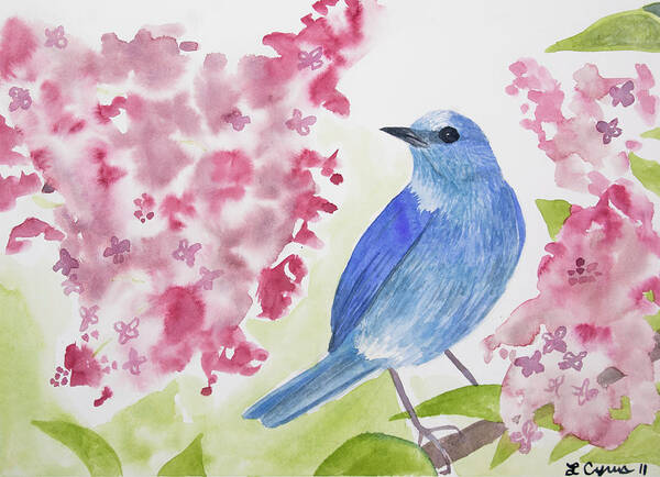 Mountain Bluebird Art Print featuring the painting Watercolor - Mountain Bluebird by Cascade Colors