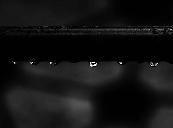 Water Drops Art Print featuring the photograph Wet Bar by Richard Rizzo