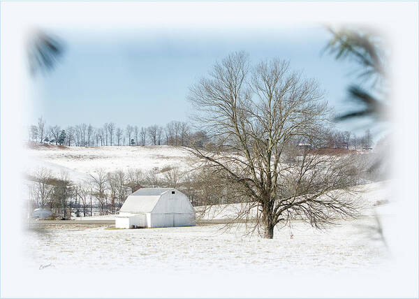 Snow Art Print featuring the photograph White Barn In Snow by Randall Evans