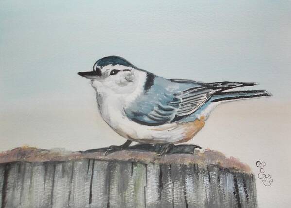 Nuthatch Art Print featuring the painting White breasted nuthatch by Carole Robins