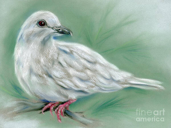 Bird Art Print featuring the painting White Dove in the Pine by MM Anderson