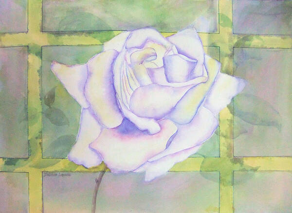 Watercolor Art Print featuring the painting White Rose by Debbie Lewis