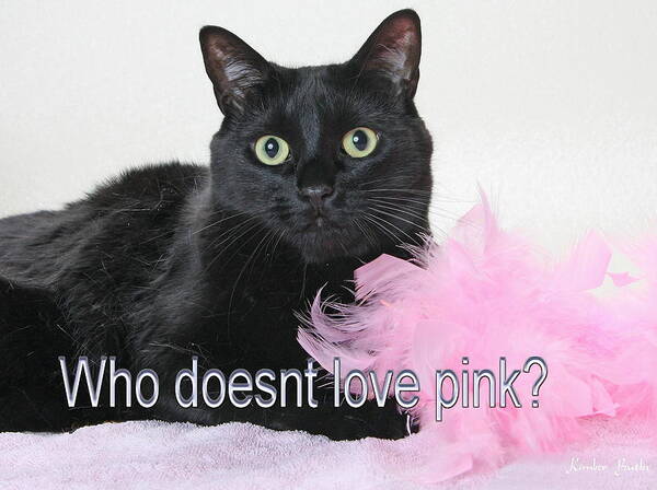 Black Cat Photo Art Print featuring the photograph Who doesnt love pink by Kimber Butler