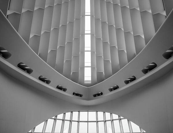 Milwaukee Art Museum Art Print featuring the photograph Windhover #2 by John Roach