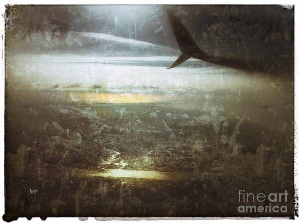 Airplane Art Print featuring the photograph Winging It by Jason Nicholas