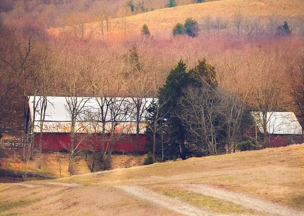 Farm Art Print featuring the photograph Winter Day on a Tennessee Farm by Debbie Karnes