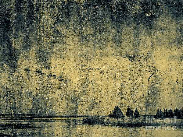Texture Art Print featuring the photograph Winters Silence by Dana DiPasquale