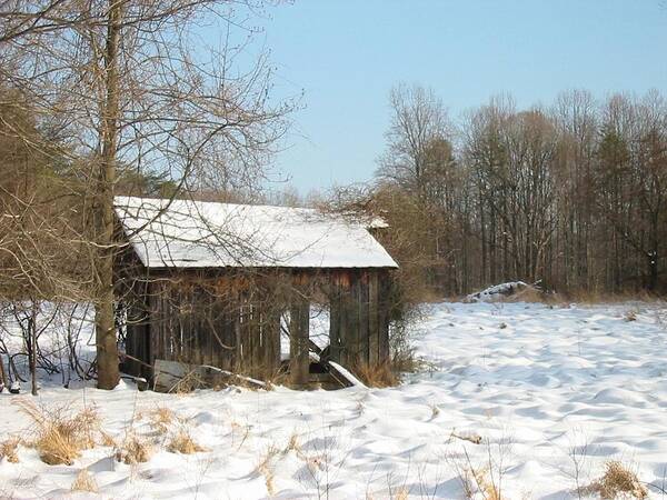 Snow Art Print featuring the photograph Wolf Run Snow Shed by Lin Grosvenor