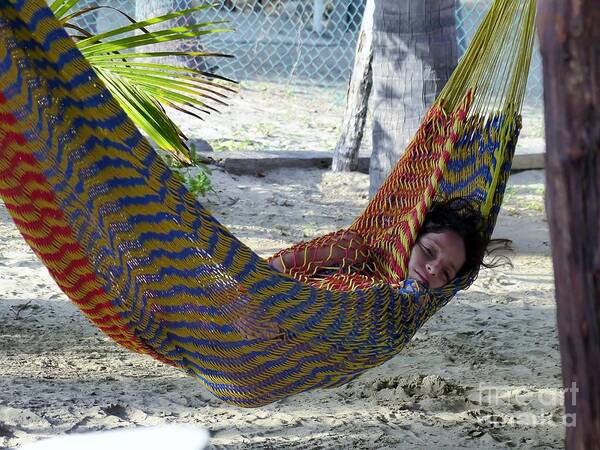 Siesta Art Print featuring the photograph Wrapped In The Hammock by Rosanne Licciardi