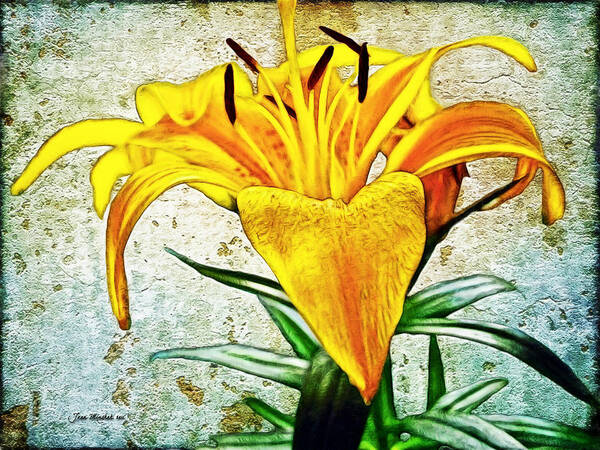 Lily Art Print featuring the photograph Yellow Easter Lily by Joan Minchak