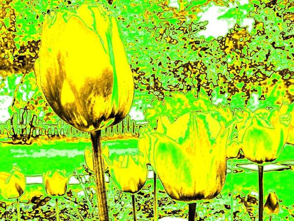 Abstract Art Print featuring the digital art Yellow Tulips Abstract by Will Borden