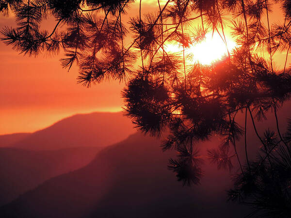 Sun Art Print featuring the photograph Yosemite Sunset 3 by Eric Forster