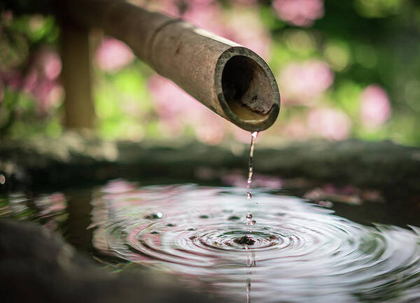 Japanese Garden Art Print featuring the photograph Zen by Scott Rackers