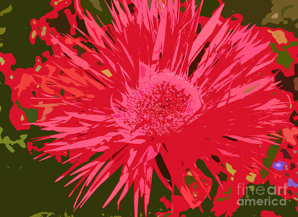 Zinnia Art Print featuring the photograph Zinnia Party by Jeanette French