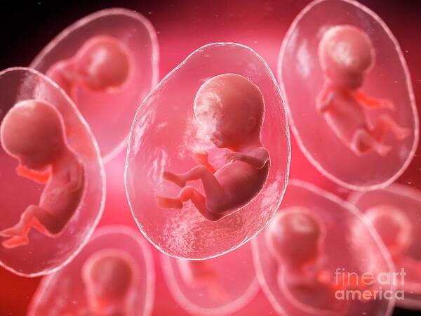 Baby Art Print featuring the photograph Cloning #1 by Sebastian Kaulitzki/science Photo Library