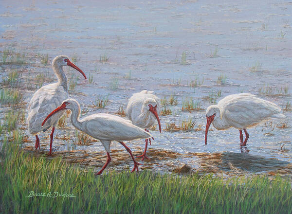 Ibis Excursion Art Print featuring the painting Ibis Excursion #1 by Bruce Dumas