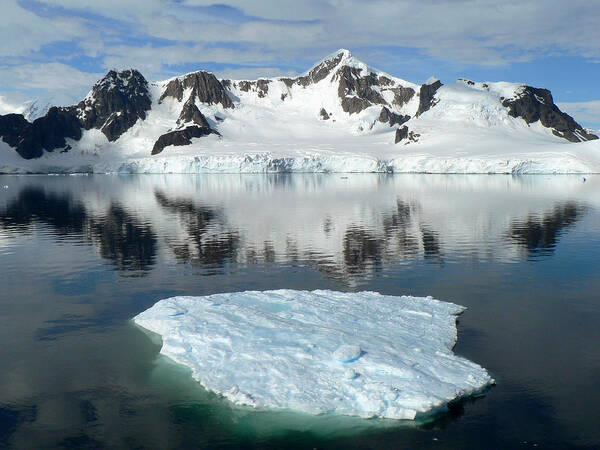 Scenics Art Print featuring the photograph Antarctica Paradise Harbour #2 by Photo, David Curtis