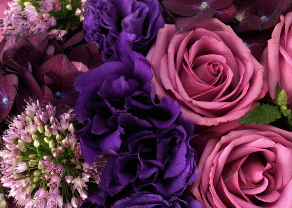 Purple Art Print featuring the photograph A Close-up Of A Bouquet Of Flowers #7 by Nicholas Eveleigh