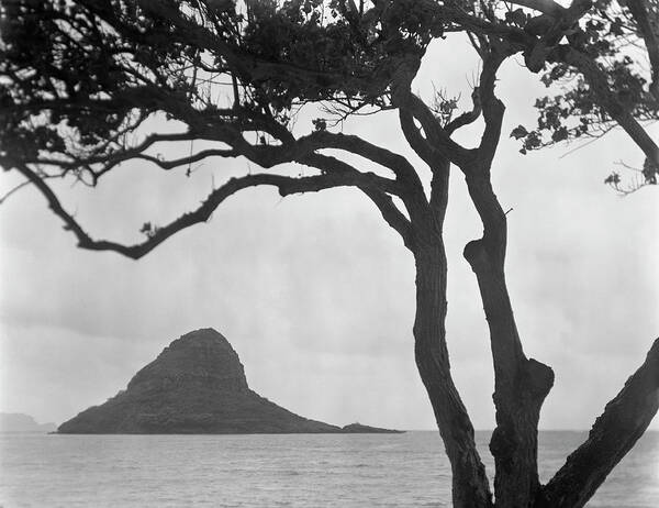 Scenics Art Print featuring the photograph A Rock Formation In The Pacific Ocean by Brian Caissie