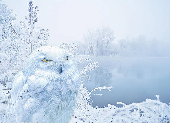 Snowy Owl Art Print featuring the digital art A Snowy Winter by Brian Tarr