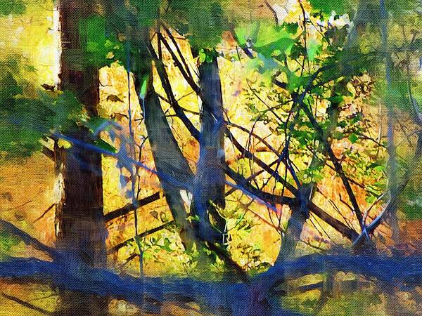 Trees Art Print featuring the mixed media Afternoon in the Woods by Christopher Reed
