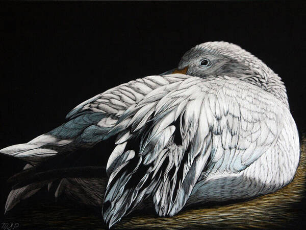 Snow Goose Art Print featuring the painting All tucked in for the Winter by Margaret Sarah Pardy
