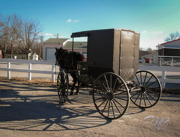 Amish Art Print featuring the photograph Amish Transportation by Marlenda Clark