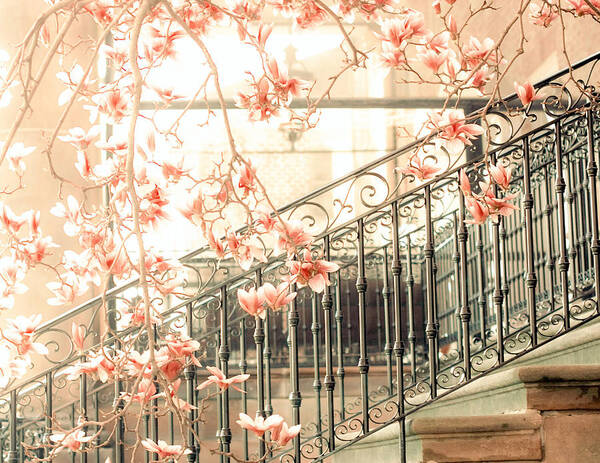 Steps Art Print featuring the photograph Apricot Flowers With Railings by A Matter Of How You See It Photography By Kala
