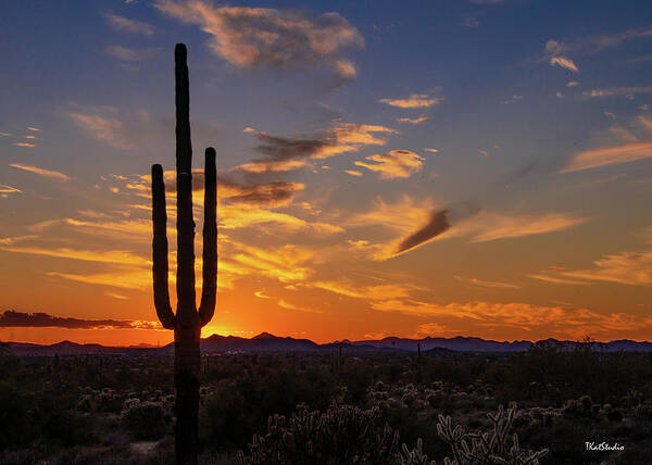Sunset Art Print featuring the photograph Arizona Sunset by Tim Kathka