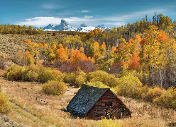 Idaho Scenics Art Print featuring the photograph Autumn Day by Leland D Howard