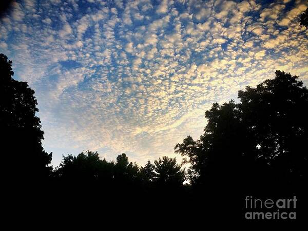 Weather Art Print featuring the photograph Baby Clouds by Frank J Casella