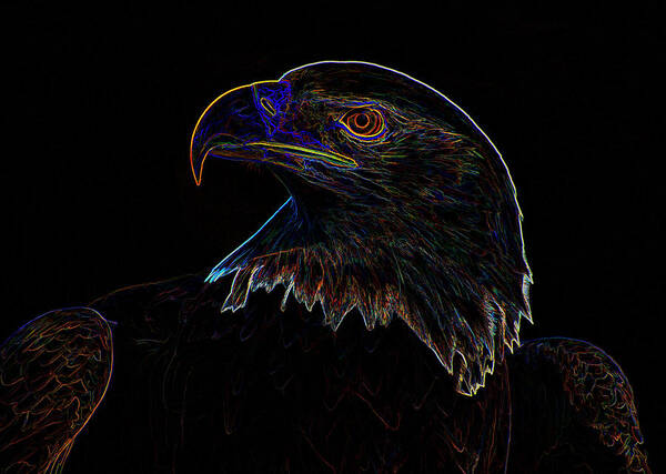 Bald Eagle Art Print featuring the digital art Bald Eagle Digital art by Flees Photos