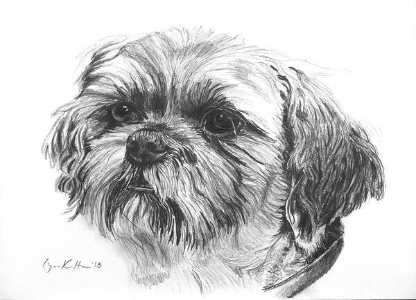 Dog Art Print featuring the drawing Beloved Pet Dog by Lynn Hansen