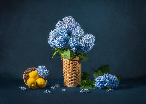 Blue Hydrangea Art Print featuring the photograph Blue Hydrangea by Eileen