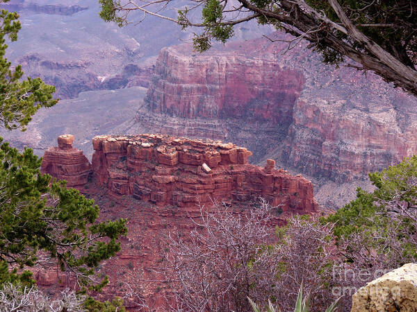 Nature Art Print featuring the photograph By The Ridge by Mary Mikawoz