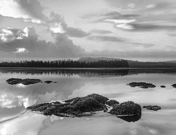 Disk1216 Art Print featuring the photograph Coast, Kupreanof Island, Alaska by Tim Fitzharris