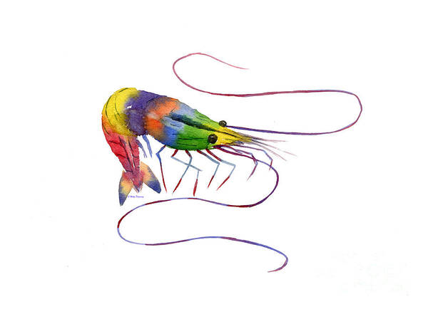 Colorful Shrimp Art Print featuring the painting Colorful Shrimp by Melly Terpening